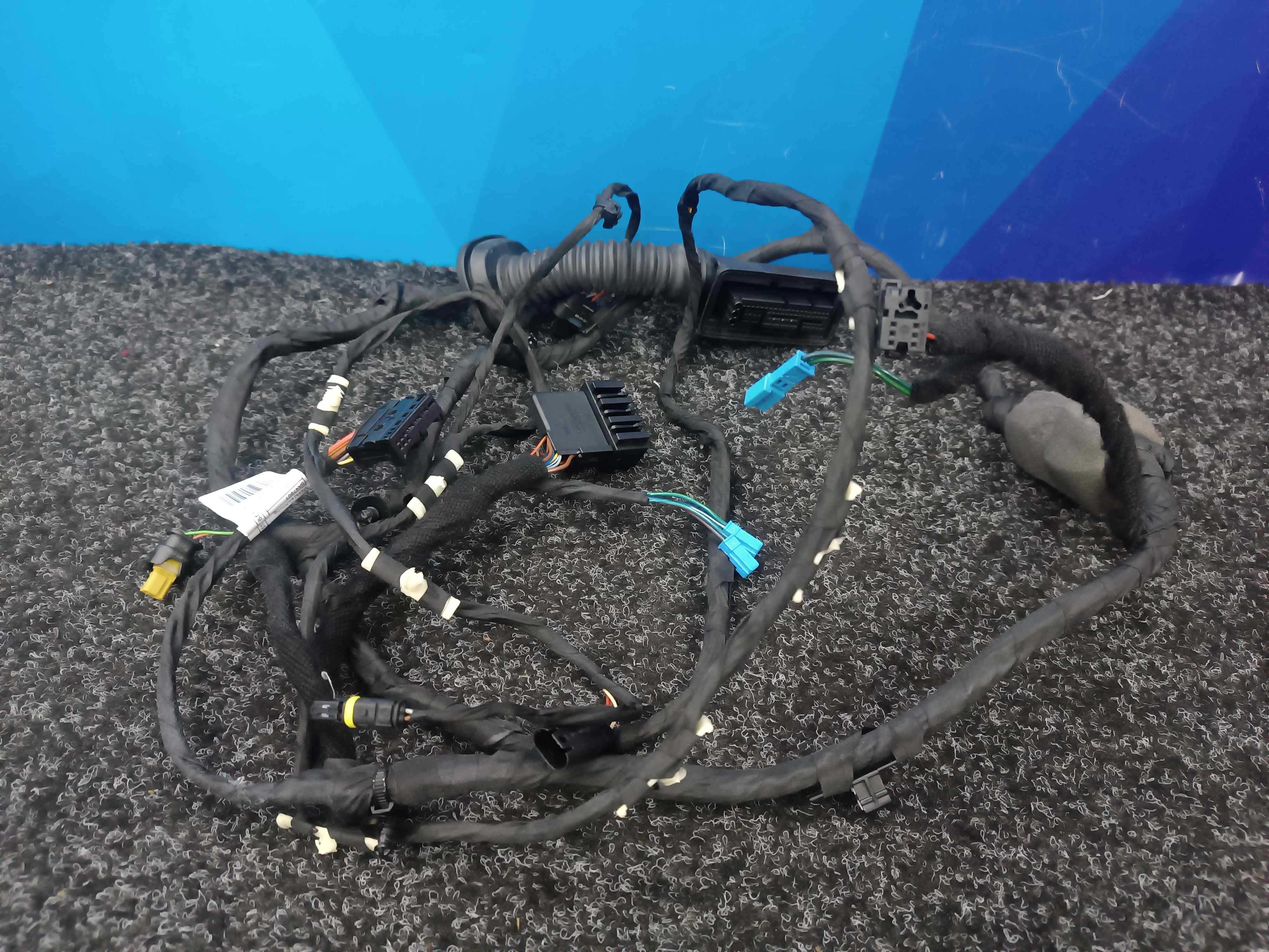 Б/у Проводка дверей передніх BMW X5 G05 - 1