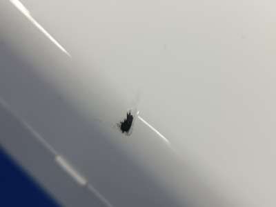 Б/у Накладка декоративна на поріг ліва BMW X4 G02