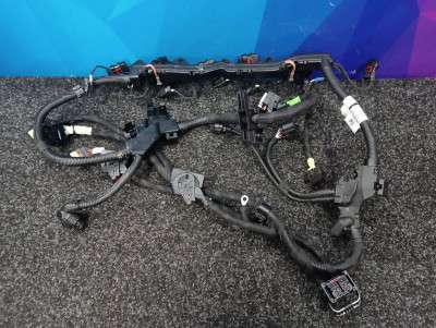 Б/у Проводка двигуна BMW X7 G07