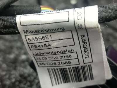 Б/у Проводка дверей задніх лівих BMW X6 G06