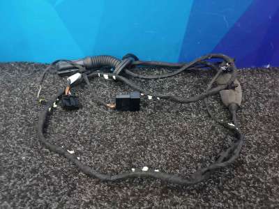 Б/у Проводка дверей задніх правих BMW X5 G05