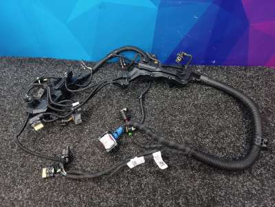 Б/у Проводка двигуна BMW X7 G07