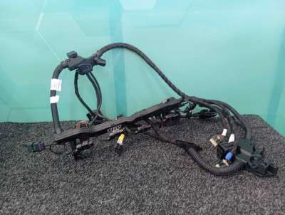 Б/у Проводка двигуна BMW X7 G07