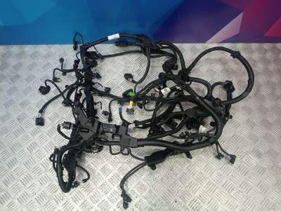 Б/у Проводка двигуна BMW X7 G07