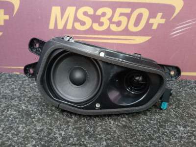 Б/в Динамик BMW X6 G06