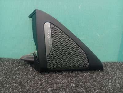 Б/в Динамик BMW X6 G06