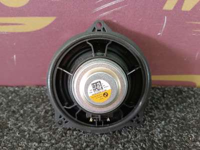 Б/в Динамик BMW X6 G06